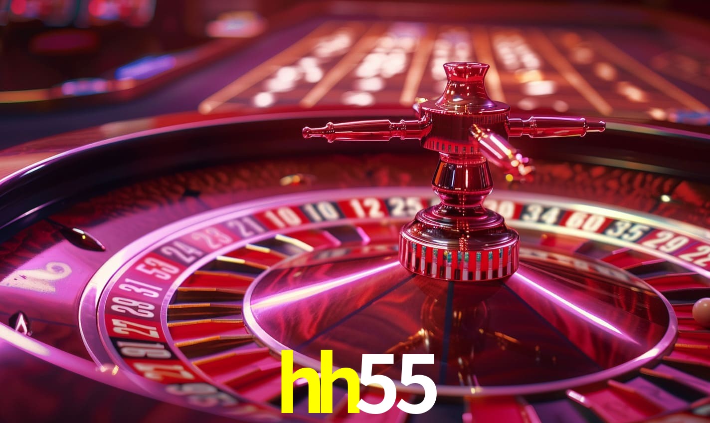 hh55.com